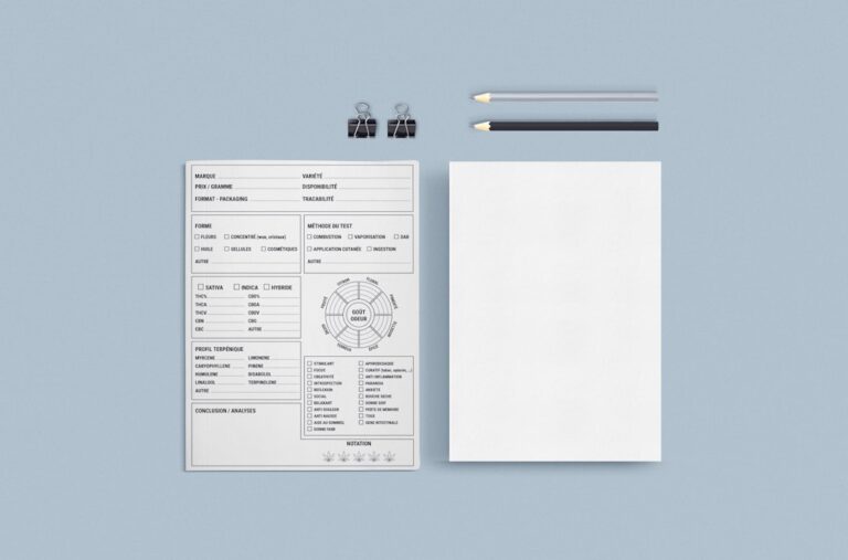 featured image for: ai cv builder
